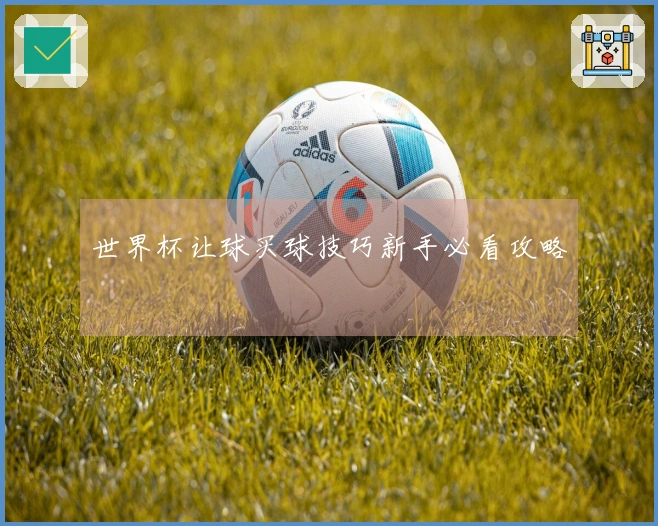 世界杯让球买球技巧新手必看攻略