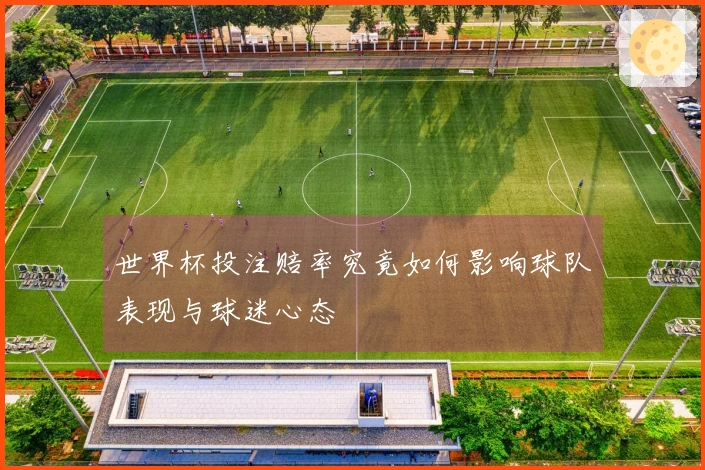 世界杯投注赔率究竟如何影响球队表现与球迷心态