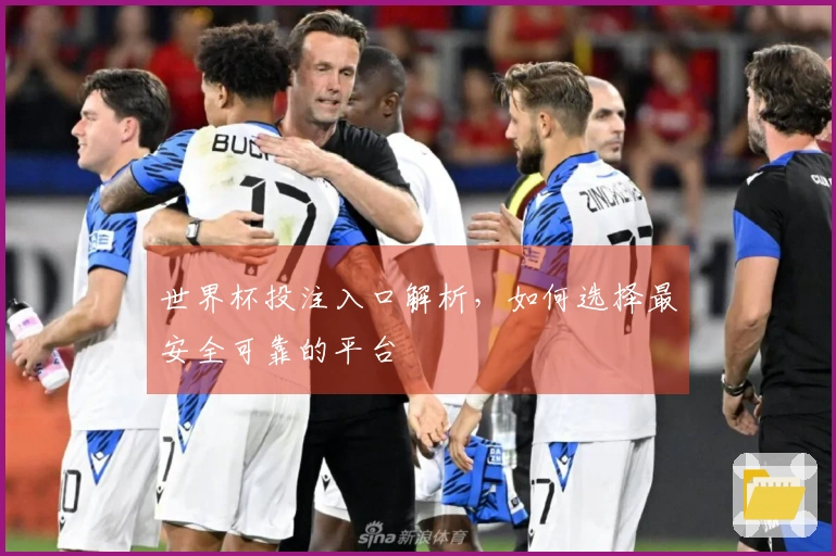 世界杯投注入口解析，如何选择最安全可靠的平台