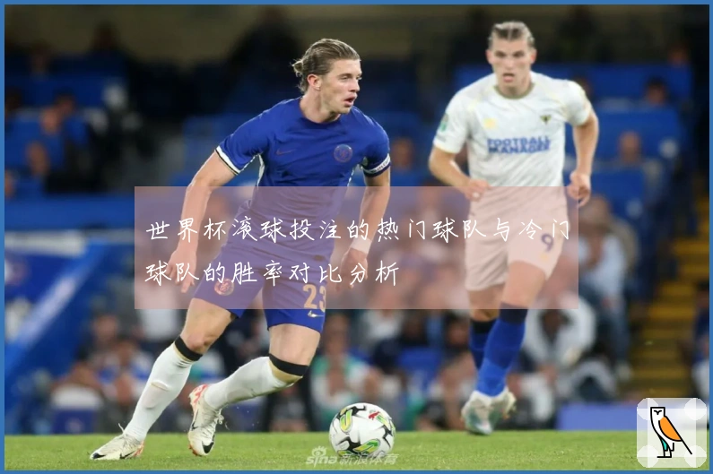 世界杯滚球投注的热门球队与冷门球队的胜率对比分析