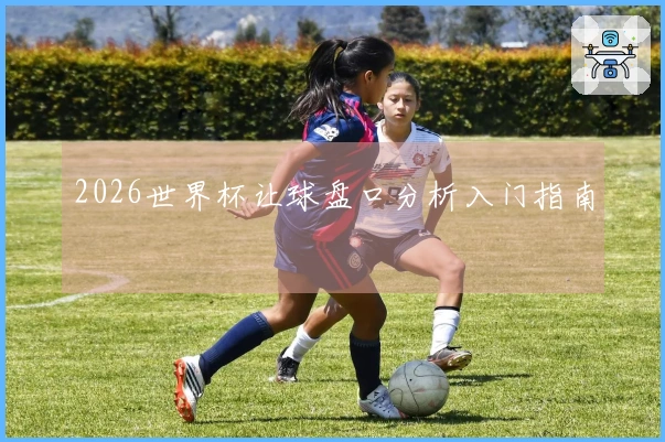 2026世界杯让球盘口分析入门指南