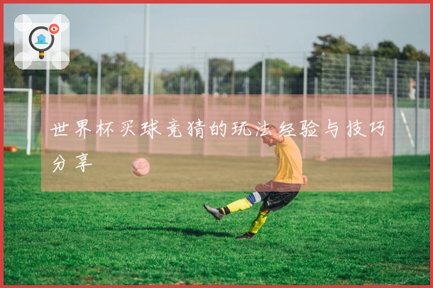 世界杯买球竞猜的玩法经验与技巧分享