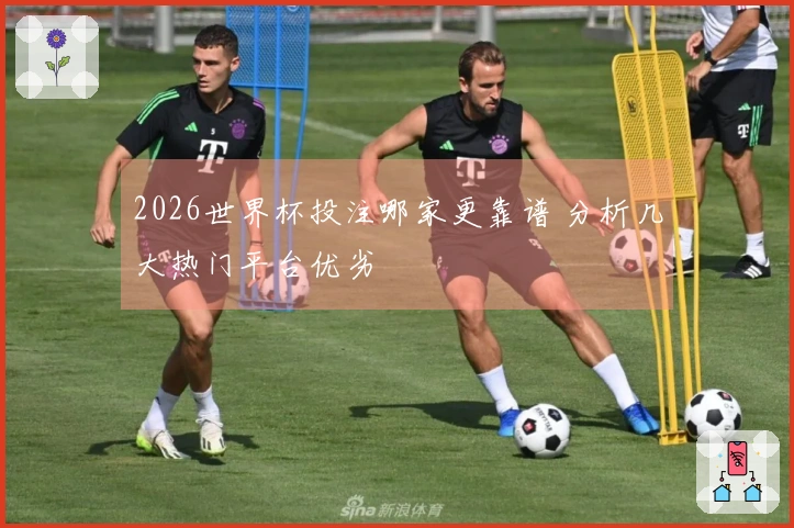 2026世界杯投注哪家更靠谱 分析几大热门平台优劣